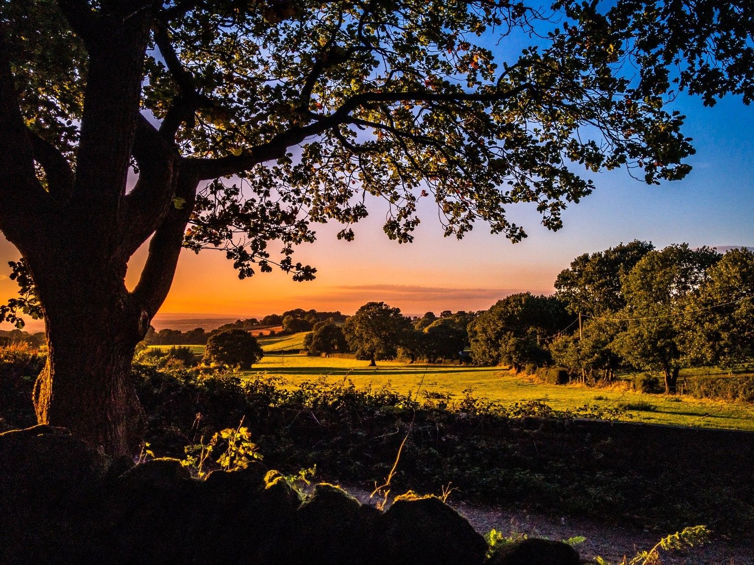 Cheshire Countryside